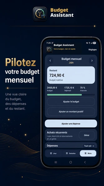 Budget Assistant — capture 2