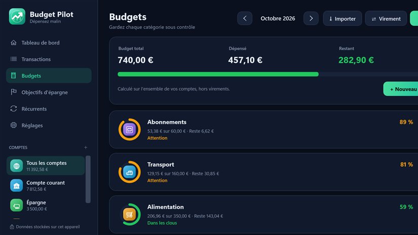 Budget Pilot — capture 3